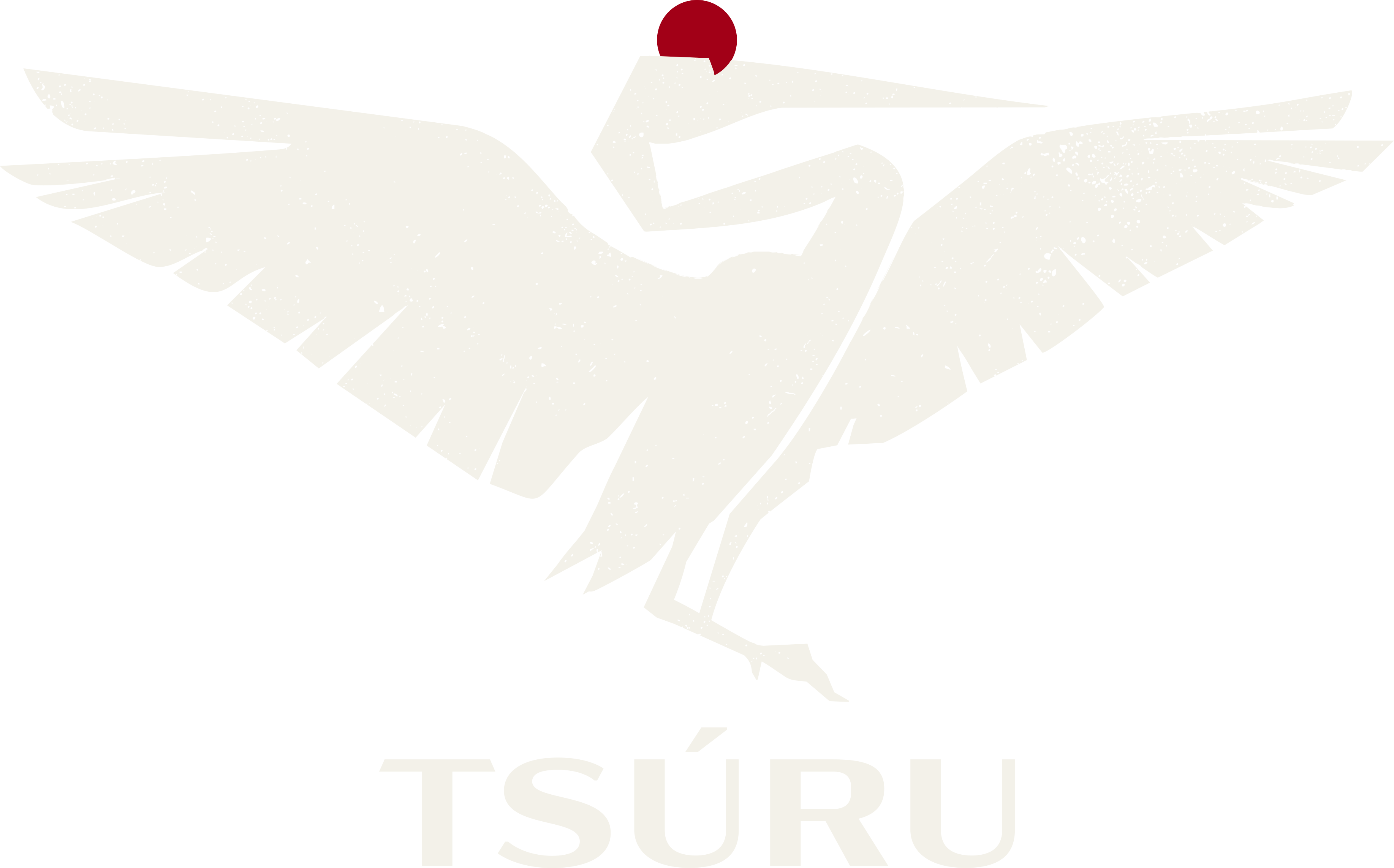 Логотип Tsuru футер